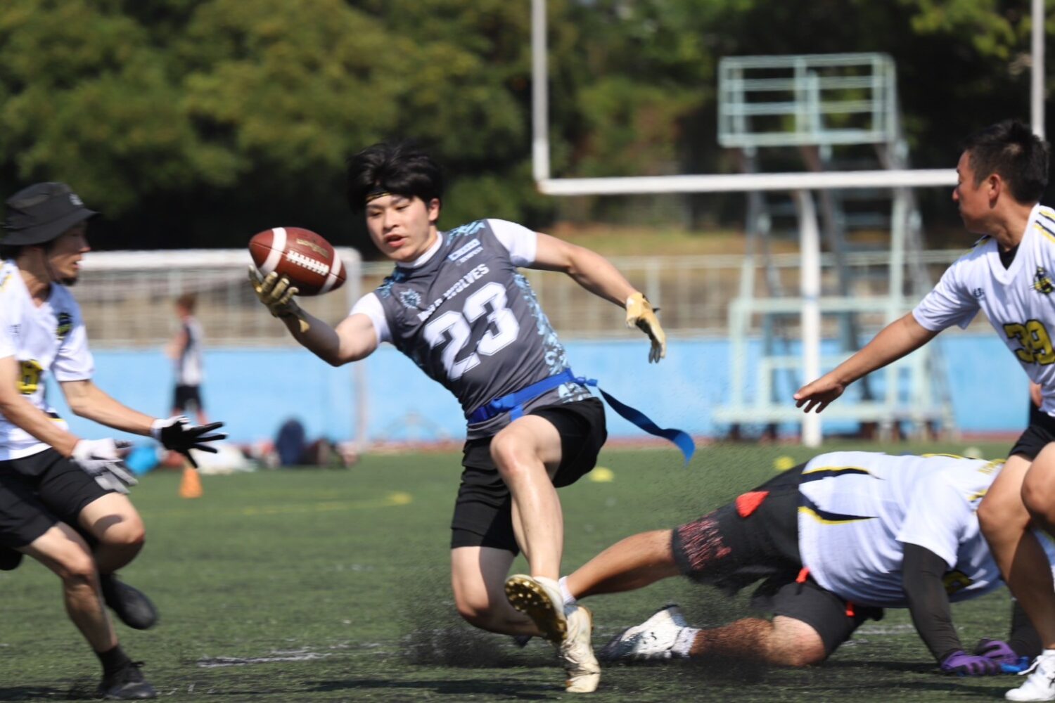 LINE_ALBUM_2025.8.16_WILD VOLVES_250817_5